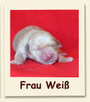 Frau Weiß