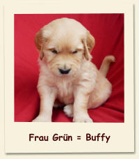 Frau Grün = Buffy