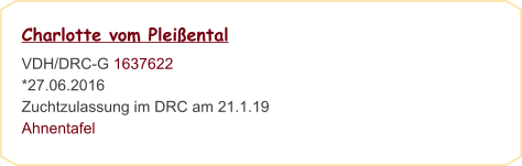 Charlotte vom Pleißental VDH/DRC-G 1637622 *27.06.2016                                                                                 Zuchtzulassung im DRC am 21.1.19 Ahnentafel