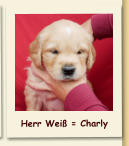Herr Weiß = Charly