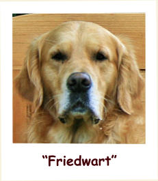 “Friedwart”