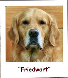 “Friedwart”