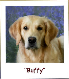 “Buffy”