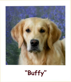 “Buffy”